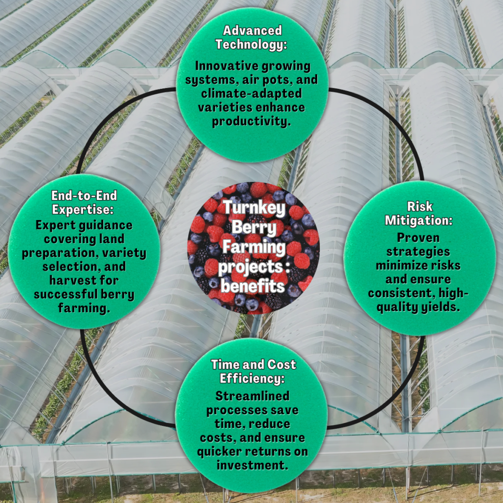berry farming journey